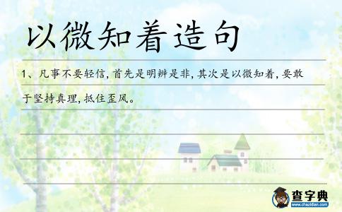 以微知著造句