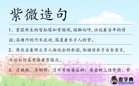 紫微造句