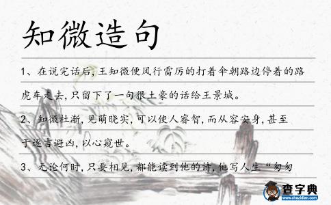 知微造句