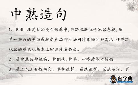 中熟造句