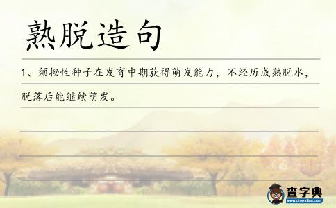 熟脫造句