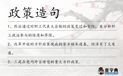 政策造句