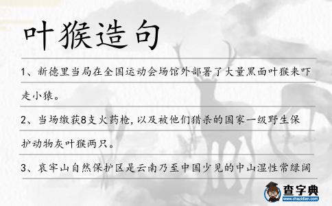 葉猴造句
