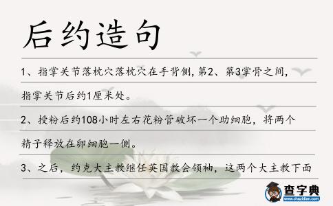 后約造句