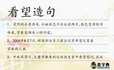 看望造句