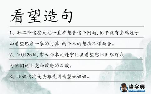 看望造句