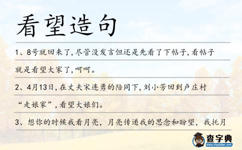 看望造句