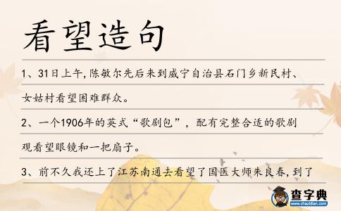 看望造句