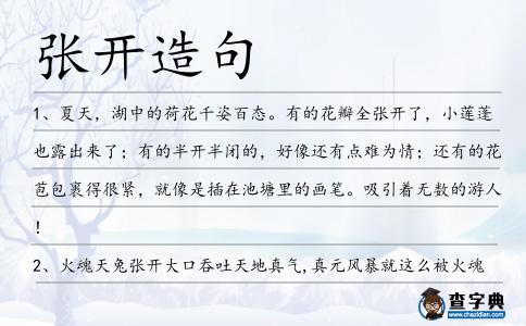 張開造句