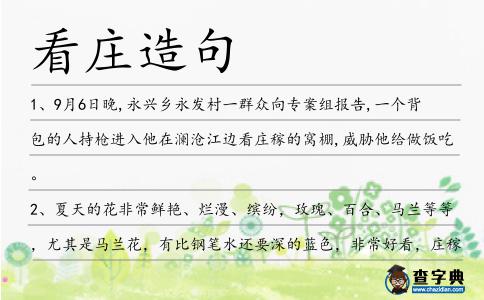 看莊造句