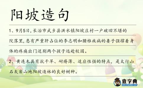 陽坡造句