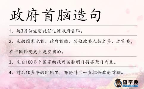 政府首腦造句