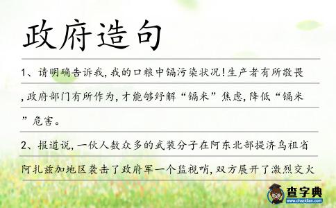 政府造句