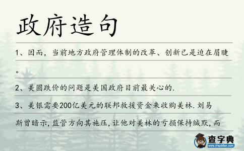 政府造句