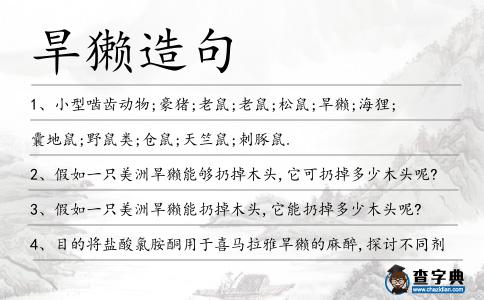旱獺造句