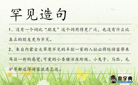 罕見造句