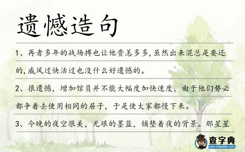 遺憾造句