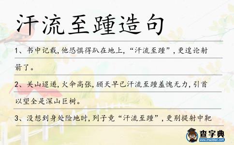 汗流至踵造句
