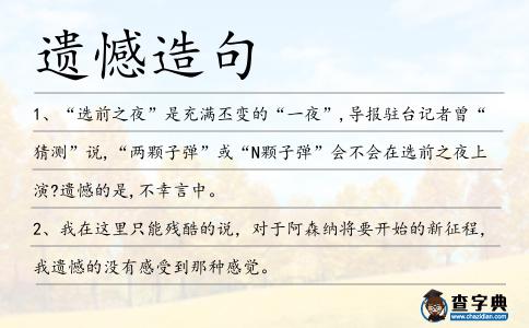 遺憾造句
