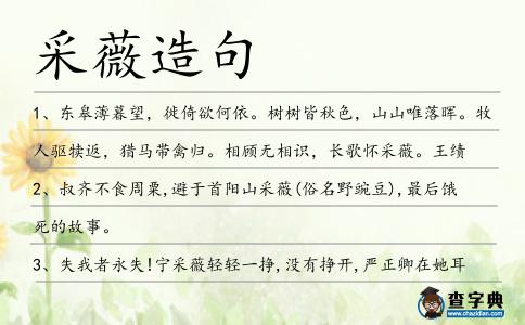 采薇造句