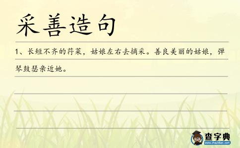 采善造句