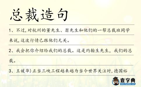 總裁造句