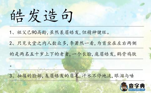 皓發造句