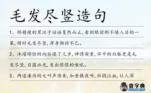 毛發盡豎造句