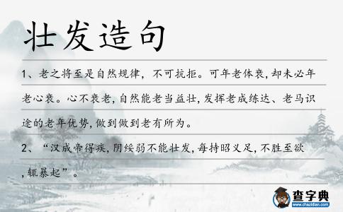壯發造句