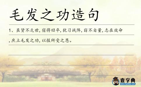 毛發之功造句
