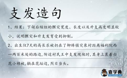 支發造句