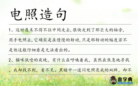 電照造句