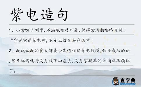 紫電造句