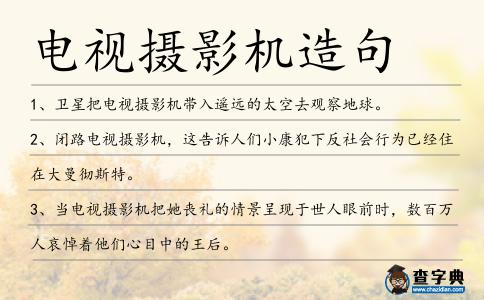 電視攝影機(jī)造句