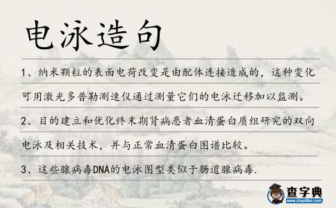 電泳造句