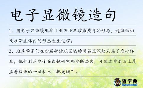 電子顯微鏡造句