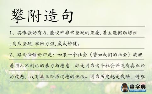 攀附造句