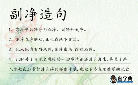 副凈造句