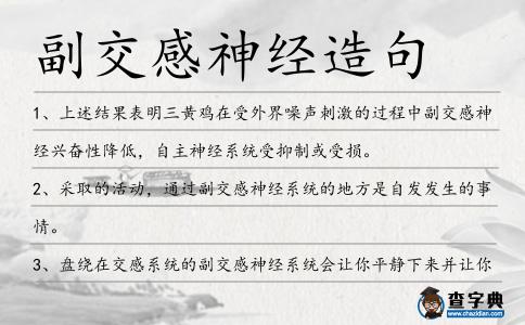 副交感神經造句