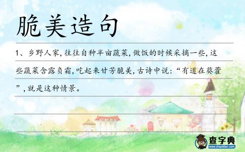 脆美造句