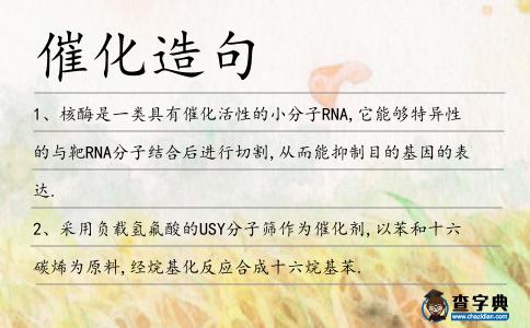 催化造句