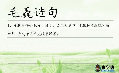 毛毳造句