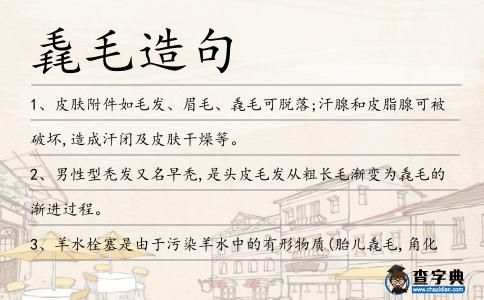 毳毛造句