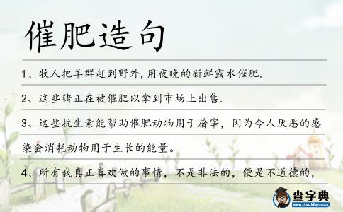 催肥造句
