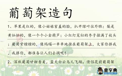 葡萄架造句