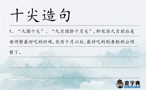 十尖造句
