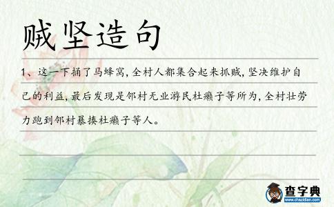賊堅造句