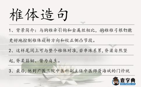 椎體造句