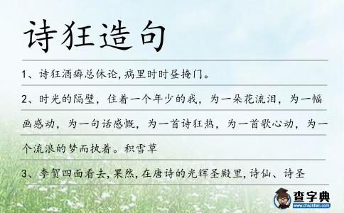 詩狂造句
