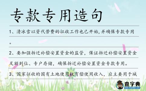 專款專用造句